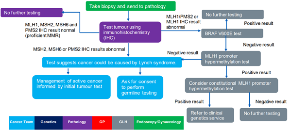 lynch syndrome